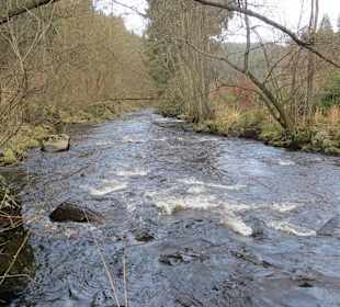 Die Rur auf dem Weg nach Monschau