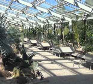 Tropen- + Kakteenschauhaus - Berggarten