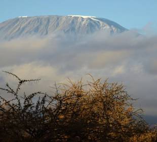 Mt. Kilimanjaro