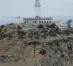 Cap Formentor (Strecke zieht sich, Ziegen kreuzen die Straße