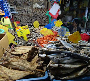 Hochland von Sri Lanka