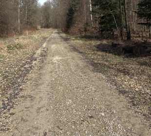 Gomaringer Rundweg - Zu den Giganten im Wald