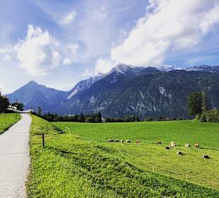 Wandern Reith im Alpbachtal