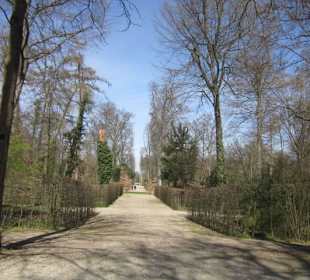Schlossgarten Schwetzingen