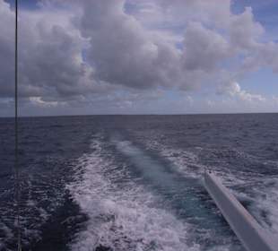 Entspannte Katamaran-Fahrt zurück nach Bayahibe