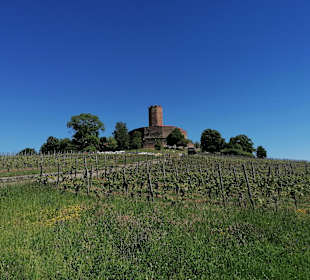 Burg Steinsberg
