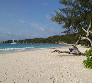 Ausflug mit Mario von Edelweiss Tours
