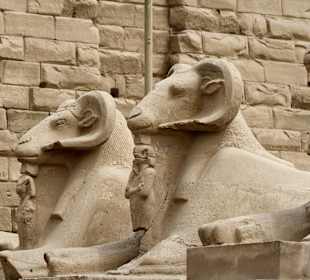 Sphinxen der Sphinxenallee 