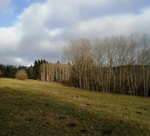 Wandern Rhön