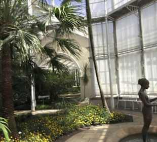 Palmenhaus