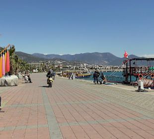 Wieder festen Boden unter den Füßen