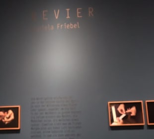 Museum für Naturkunde