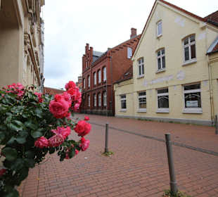 Rosen in der Altstadt