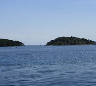 Bootsfahrt mit Delfin Negro zum Cap de Formentor