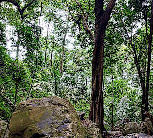Cascata do Oquê Pipi