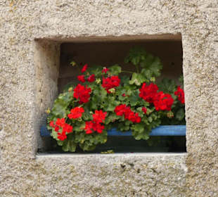 Restaurant Malga mure