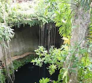 Die Cenote