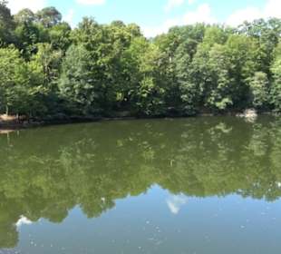 Neuer See