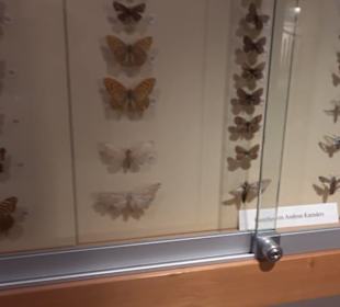 Heimatmuseum Oberstdorf