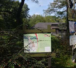 Zoo