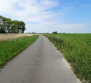 Wege durch die Luneplate