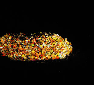 Liebesschlösser in der Pegnitz