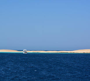 Delphinsafari mit Mo