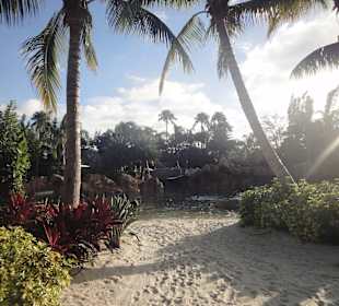 Super schöne Anlage