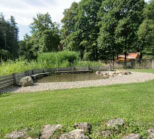 Kinderbecken mit Liegewiese