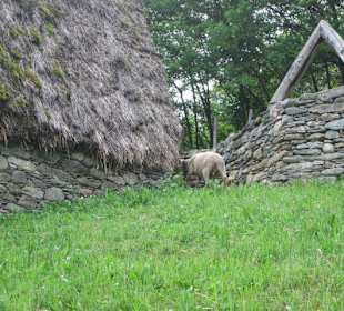 Archiologischer Stall in Stazzona