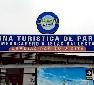 Ausflug Ballestas Inseln