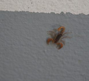 Ist er nicht süß, der Kleine?