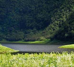 Der Grand Étang mit seinen Vulkanrändern