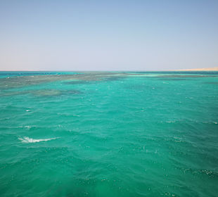 Giftun Inseln / Mahmya