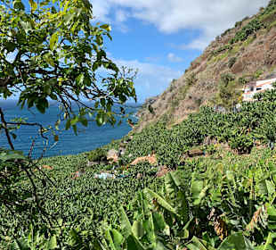 Inselrundfahrt Madeira