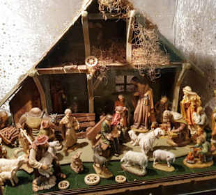 Grippenausstellung versch. Leihgaben