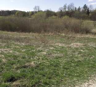 Sport- und Freizeitpark Markwasen