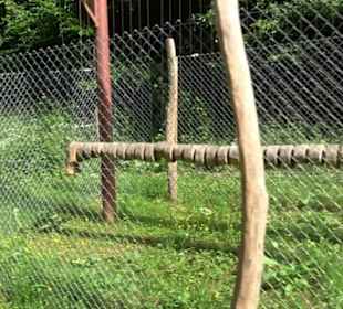 Phäno-Pfad Aichstetten