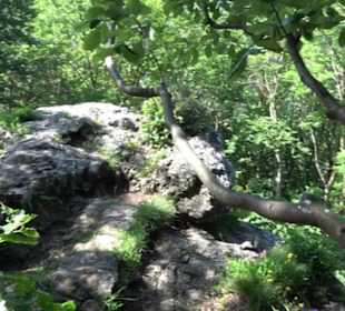 Premiumwanderweg "hochgelegen"