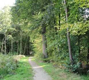 Spaziergang durch den Tiergarten Delmenhorst