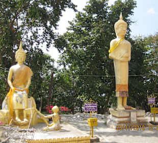 Auf dem Big Buddha-Hill