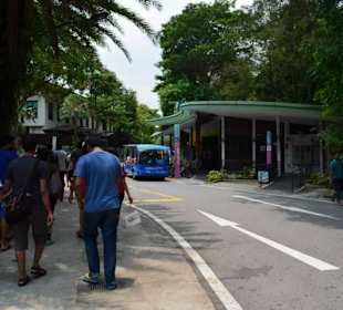 Sentosa Island