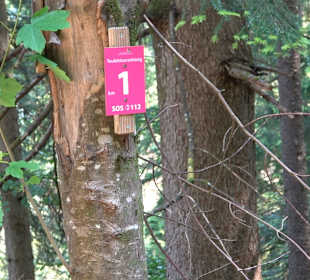 Teufelskanzelsteig Bad Griesbach