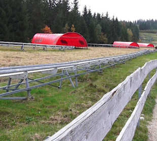 Freizeitzentrum Mehliskopf