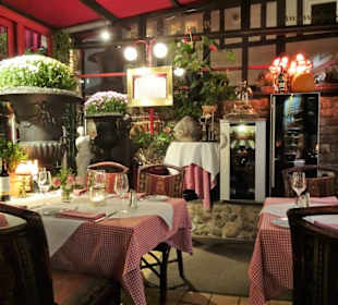 Im Wintergarten des Katzen-Cafés