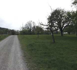 Wanderweg Firstwaldrunde