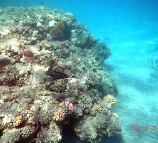 Schönes Farbenspiel