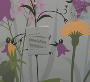 Museum für Naturkunde