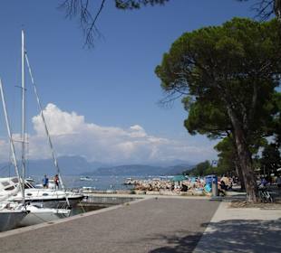 Lazise