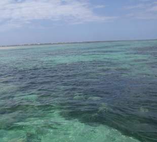 Ausflug Glasbodenboot Diani Beach